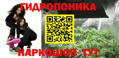 стафф Ипатово