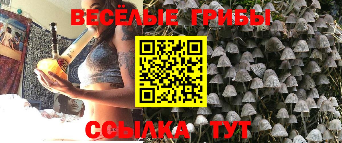 Тула  Псилоцибиновые грибы Cubensis  Вход с VPN  Псилоцибиновые грибы ЛСД 